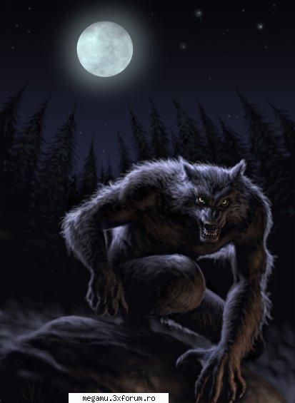 nick: gusi
name: gusi
id: inscriere turneu esf