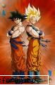 nick: roby287 
nume: roby287 
id: robzty4u inscriere turneu esf